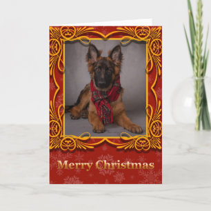 German shepherd Christmas holiday card.