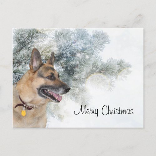 German Shepherd Christmas Holiday Postcard