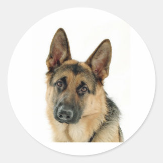 German Shepherd Classic Round Sticker
