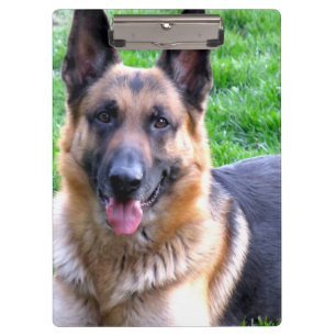 German Shepherd Clipboard