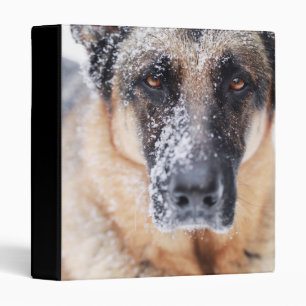 German Shepherd Closeup Covered In Snow 3 Ring Binder