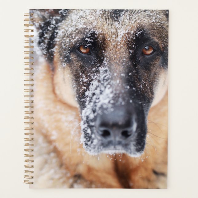 German Shepherd Closeup Covered In Snow Planner (Front)