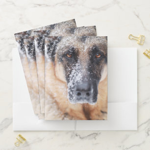German Shepherd Closeup Covered In Snow Pocket Folder