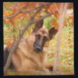 German Shepherd Cloth Napkin<br><div class="desc">If you love the German Shepherd Dog don't be afraid to let everyone know it! This beautiful photo of a German Shepherd livens up just about anything! For the German Shepherd lover in your life, even if that means you!</div>