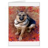 German Shepherd Dog (Front)