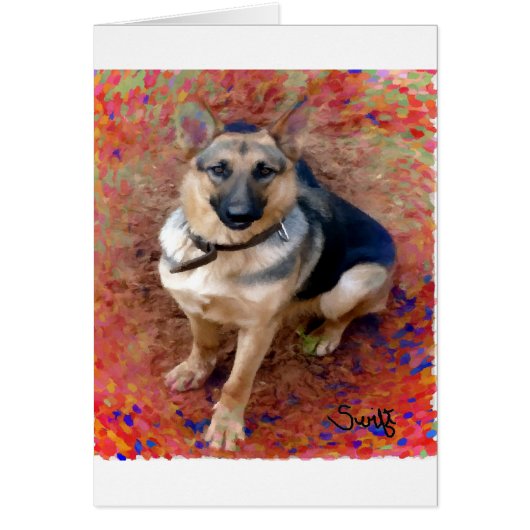 German Shepherd Dog (Front)