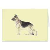 German Shepherd Dog (Front Horizontal)