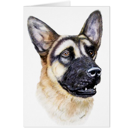 German Shepherd Dog (Front)