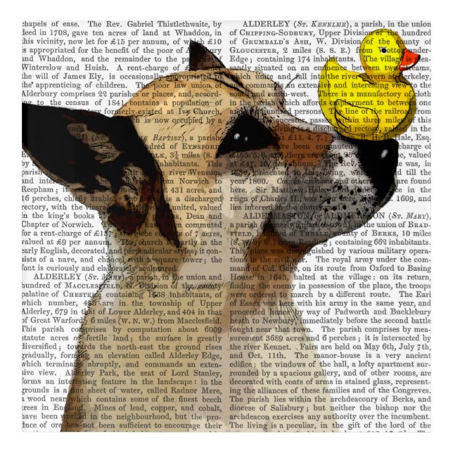 German Shepherd Dog and Duck Acrylic Print (Front)