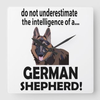German Shepherd Dog Animal German Shepherd