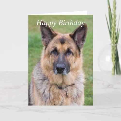 German Shepherd dog beautiful custom birthday card