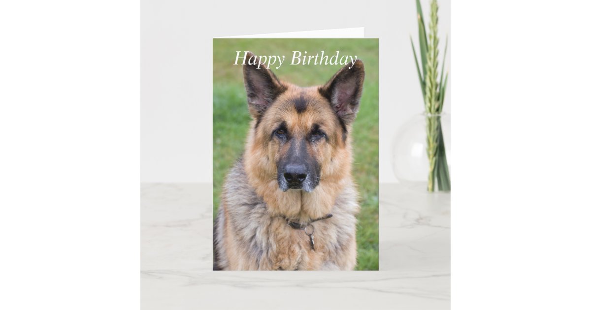 German Shepherd dog beautiful custom birthday card | Zazzle