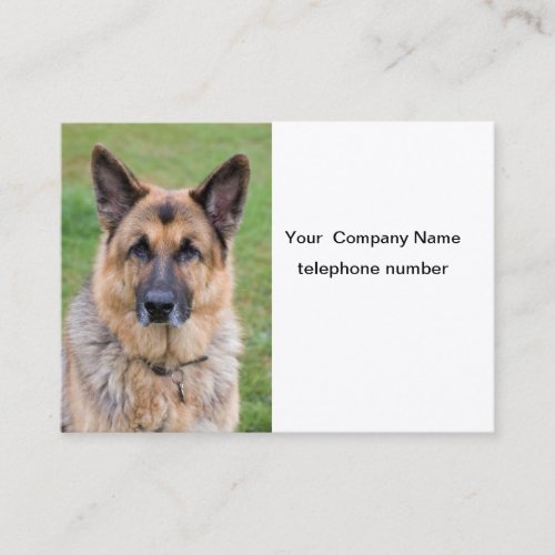 German Shepherd dog beautiful photo business card