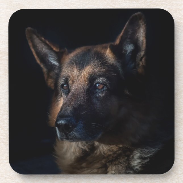 German shepherd dog beverage coaster (Front)