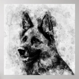 German Shepherd Dog Black and White Watercolor  Poster