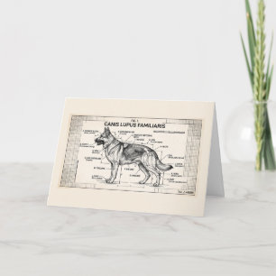 German Shepherd Dog Blueprint Card