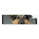 German Shepherd Dog Bumper Sticker