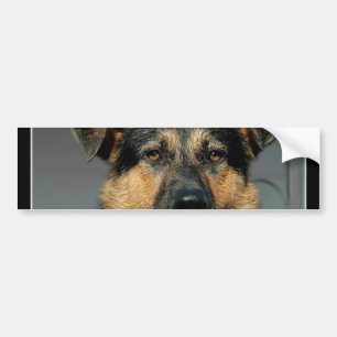German Shepherd Dog Bumper Sticker