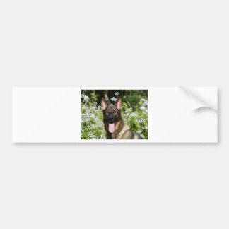German Shepherd Dog Bumper Sticker