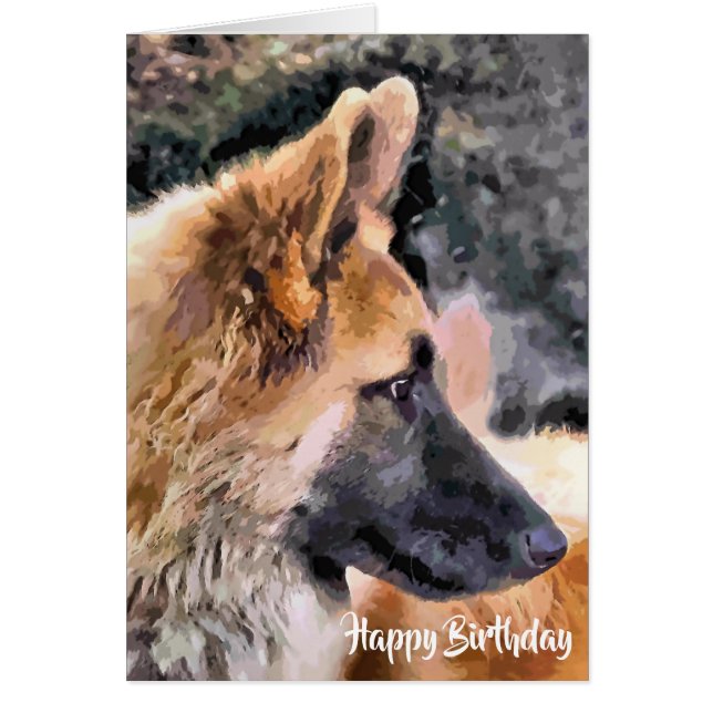 GERMAN SHEPHERD DOG Card (Front)