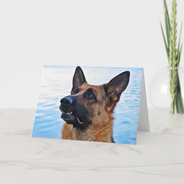 German Shepherd - Dog card (Front)