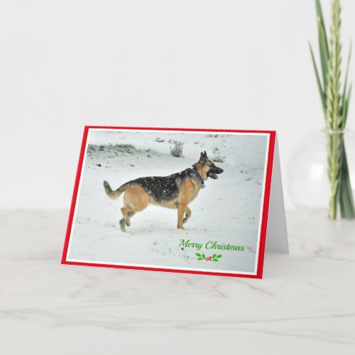 German Shepherd dog Christmas Card