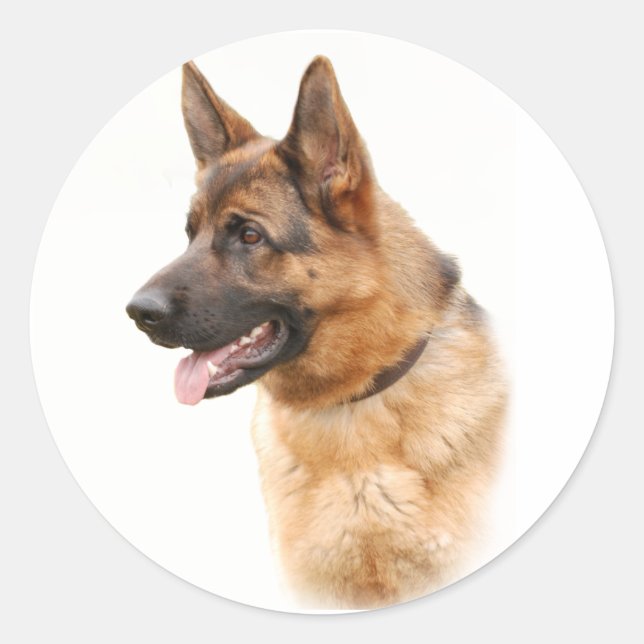 German shepherd dog classic round sticker (Front)
