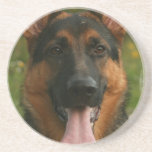 German Shepherd Dog Coasters