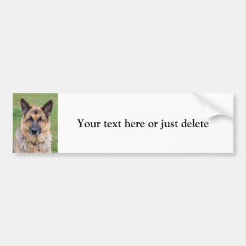 German Shepherd Dog Custom Bumper Sticker by roughcollie at Zazzle