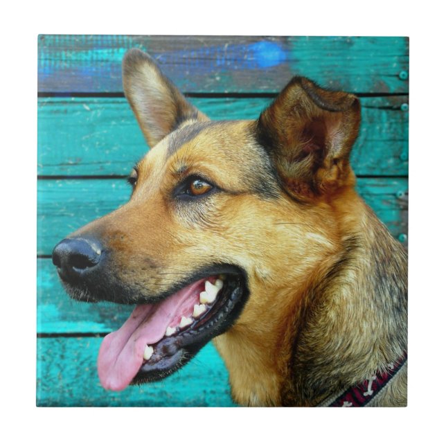 German Shepherd Dog Face Ceramic Tile (Front)