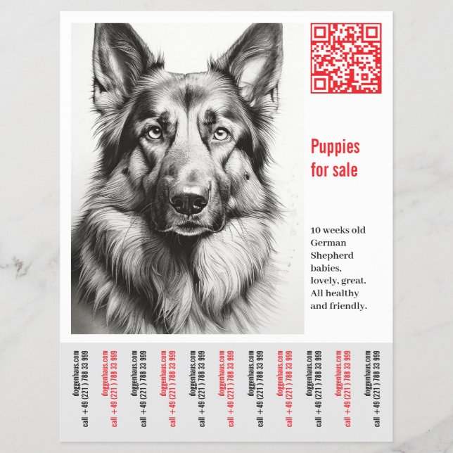 German Shepherd Dog Flyer  (Front)