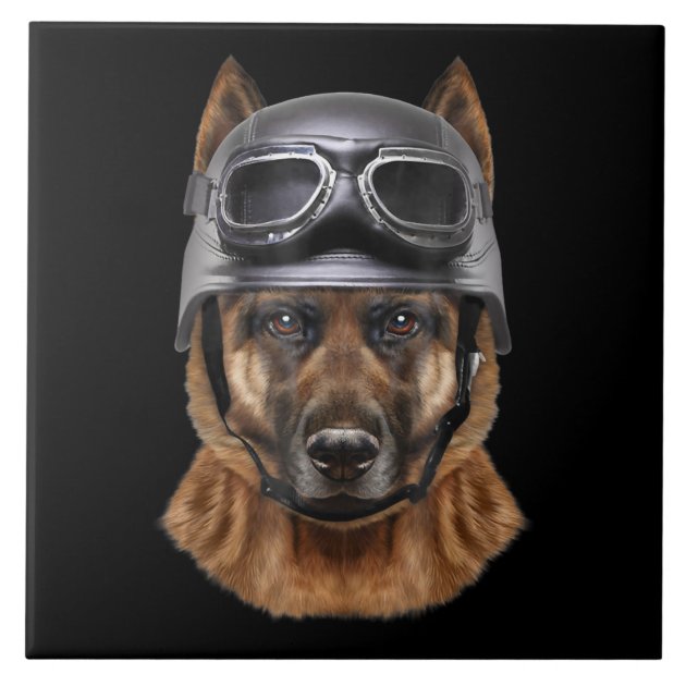 German outlet shepherd helmet