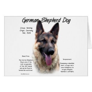 German Shepherd Dog History Design Cards