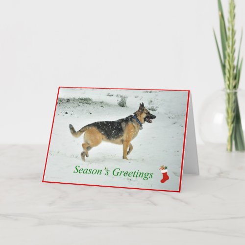 German Shepherd Dog Holiday Card