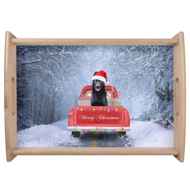 German Shepherd Dog in Snow sitting in Christmas Serving Tray (Front)