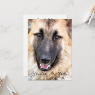 GERMAN SHEPHERD DOG INVITATION