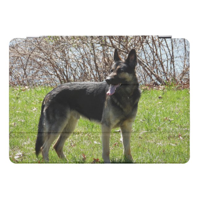 German Shepherd Dog iPad Pro Cover (Horizontal)