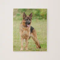 German Shepherd In Snow Jigsaw Puzzle, Zazzle