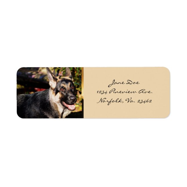 German Shepherd Dog Label (Front)