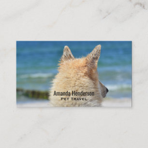 German Shepherd Dog Looks Out Towards The Beach Business Card