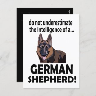 German Shepherd Dog Pet German Shepherd