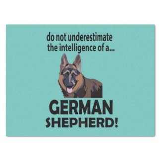 German Shepherd Dog Pet German Shepherd