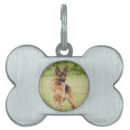 German shepherd dog pet name tag