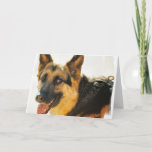 German Shepherd Dog Photo Greeting Card