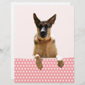 German Shepherd Dog Pink Polka Dots (Front/Back)