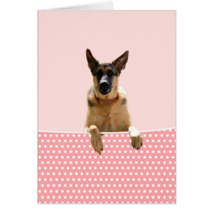 German Shepherd Dog Pink Polka Dots