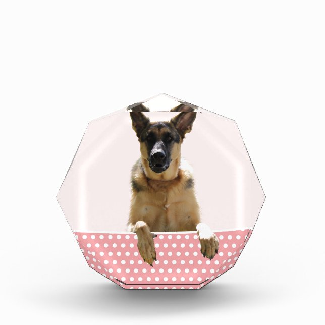 German Shepherd Dog Pink Polka Dots Acrylic Award (Front)