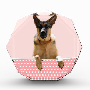 German Shepherd Dog Pink Polka Dots Award