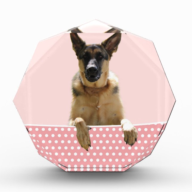 German Shepherd Dog Pink Polka Dots Award (Front)
