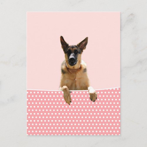 German Shepherd Dog Pink Polka Dots Postcard